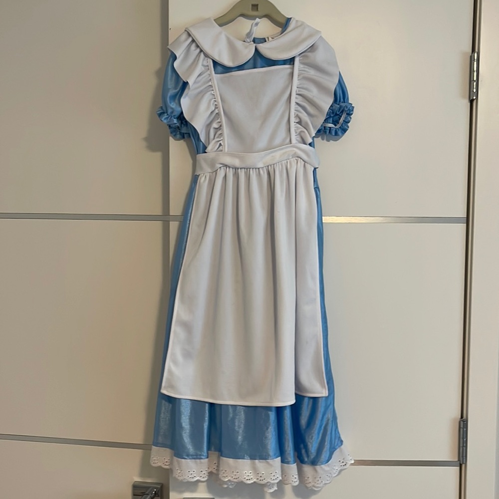 Alicia in wonderland costume